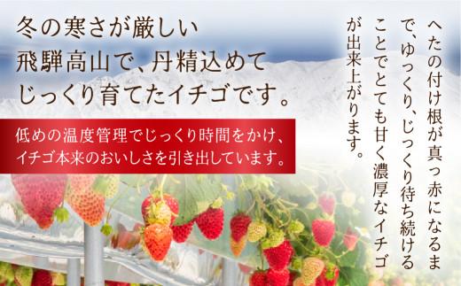 【数量限定】先行予約 いちご【3月・4月限定発送】朝摘み! 濃厚 紅ほっぺ 約900g～1kg | 産地直送 農家直送 2パック 苺 イチゴ 数量限定 果物 フルーツ 新鮮 春 旬 国産 飛騨高山 m BerryFarm KL001