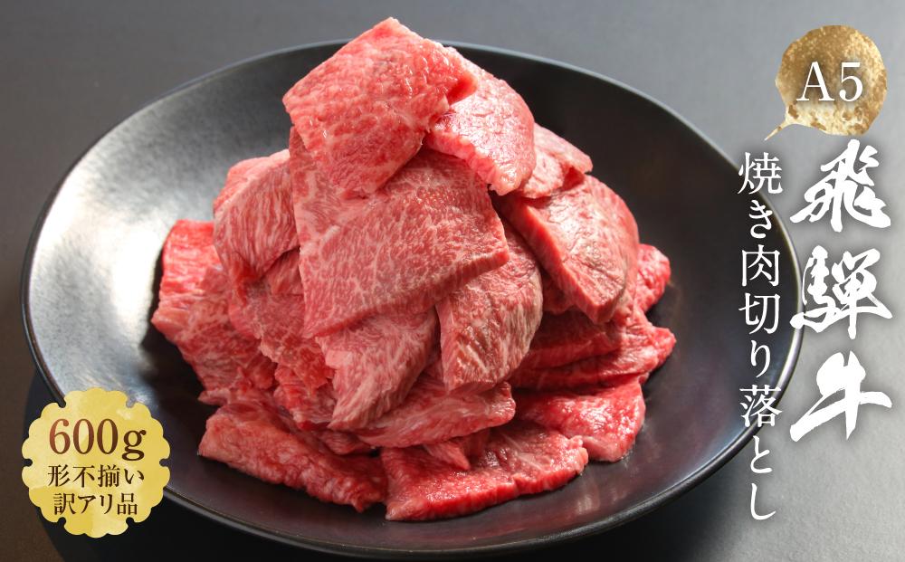 訳あり A5等級 飛騨牛 焼肉 切り落とし600g | 牛肉 黒毛和牛 BBQ 肉料理 ブランド牛 不揃い 株式会社岩ト屋 HF040