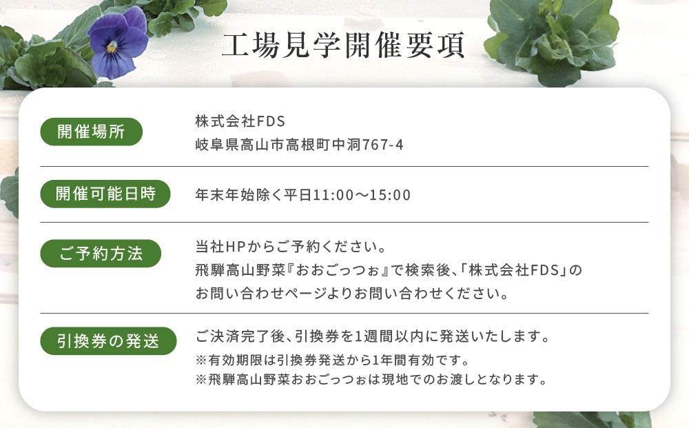 飛騨高山野菜『おおごっつぉ』付植物工場見学（大人３人）| 工場見学 体験学習 長期連休 グリーンリーフ 園芸 チケット 旅行 飛騨高山 株式会社FDS HS004