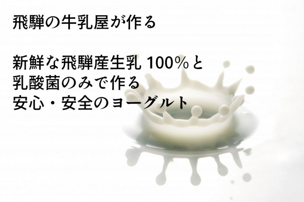 【3か月定期便】飛騨の牛乳屋　牧成舎　生乳100％砂糖不使用プレーンヨーグルト20個　朝食におすすめ　無糖ヨーグルト プレーンヨーグルト 砂糖不使用 生乳ヨーグルト 乳製品 TR4337