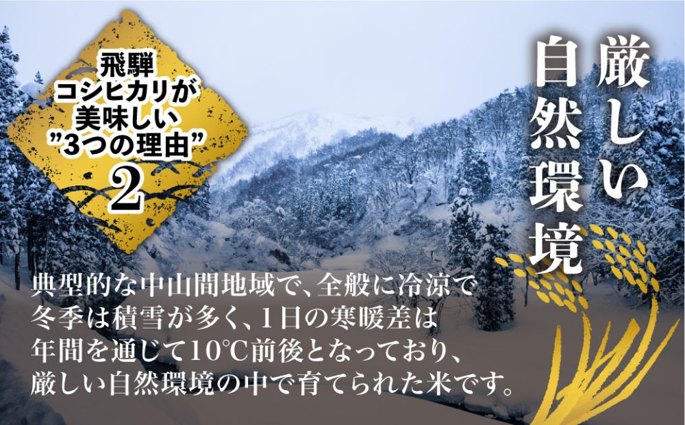  飛騨こしひかり 10kg 【令和5年度産】JAひだ 飛騨高山 お米 コシヒカリ TR3442 