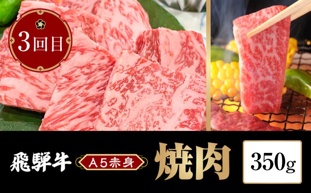 飛騨牛 A5 赤身 定期便 全3回 約1kg（すき焼き しゃぶしゃぶ 焼肉） HF101　