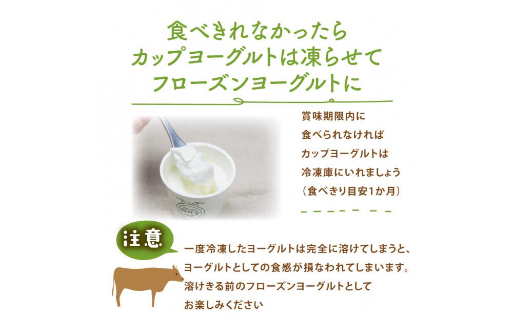 ＜牧成舎＞飛騨の牛乳屋さんが作った こだわりの ご当地カップヨーグルト 12個（加糖タイプ）| ヨーグルト おいしい 濃厚 さっぱり デザート ご当地 飛騨高山 (有)牧成舎 DF037