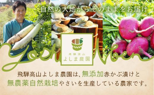 【1月配送】よしま農園の自然栽培塩調味料シリーズ（バジル・唐辛子・にんにく塩／塩こうじ）| 塩 ソルト 塩麴 調味料 飛騨高山 よしま農園 CK020VC01