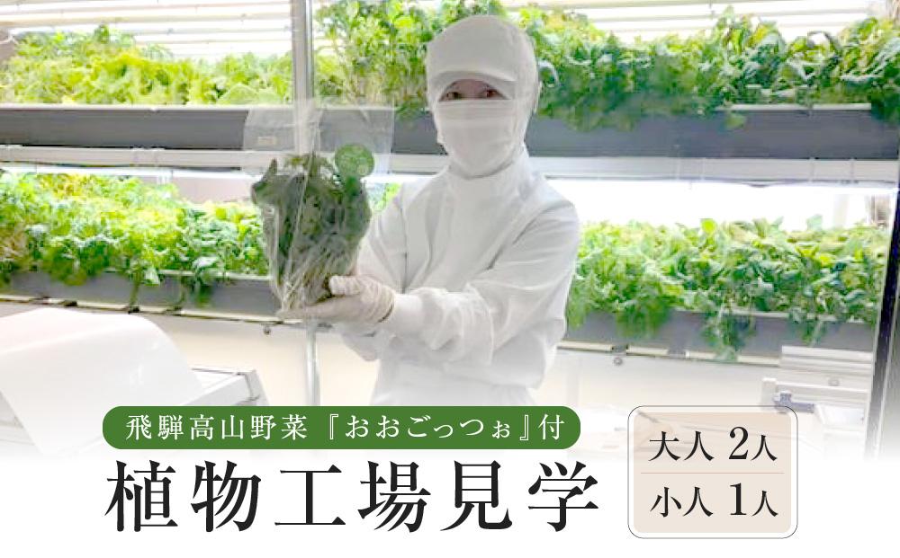 飛騨高山野菜『おおごっつぉ』付植物工場見学（大人２人、小人１人）| 工場見学 体験学習 長期連休 グリーンリーフ 園芸 チケット 旅行 飛騨高山 株式会社FDS HS005