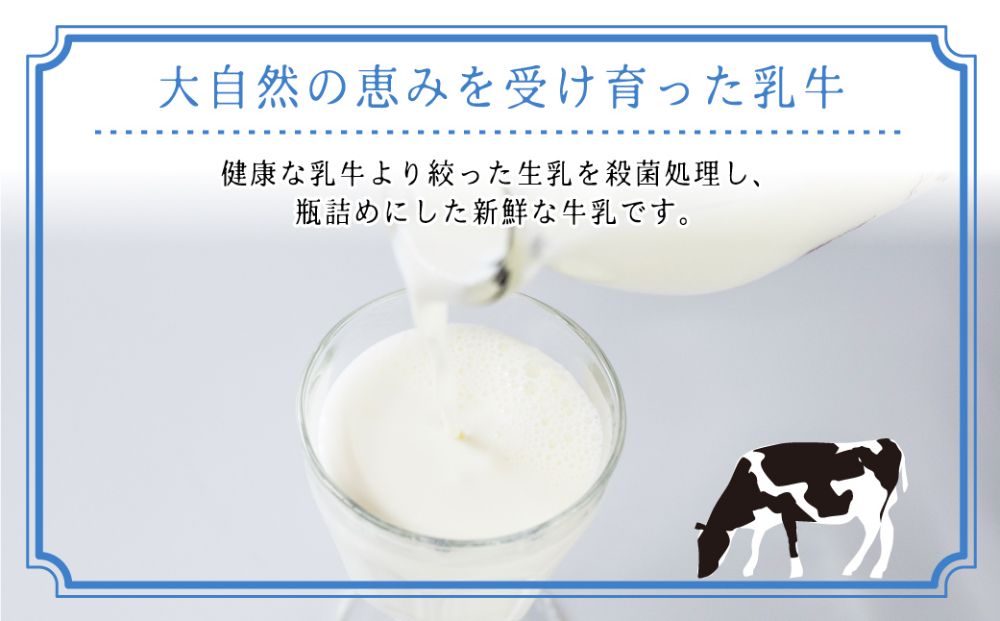 飛騨牛乳 飛騨コーヒー 飛騨オレンジ 飛騨パイン アソート 飲み比べ 20本セット | ジュース コーヒー牛乳 フルーツ牛乳 オレンジ パイン なつかしい お子様から大人の方まで 飛騨酪農農業協同組合 CV014