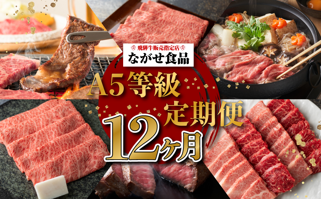 A5ランク 飛騨牛 定期便 12回 食べ尽くし ( 焼肉 すき焼き しゃぶしゃぶ ステーキ ヒレステーキ ) 12ヶ月 肉 飛騨牛 定期便 約4.96kg 牛肉 食べ比べ 人気 お楽しみ おすすめ 岐阜県 高山市 飛騨高山 ながせ食品 TR3847