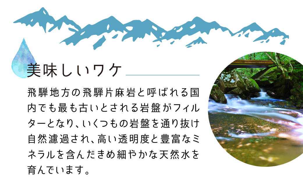 【12回　定期便】天然水　飛騨の雫　500ml×48本　(2ケース)　 12ヶ月 水 ペットボトル 飲料水 500ミリリットル 白啓酒店 飛騨高山 TR4151