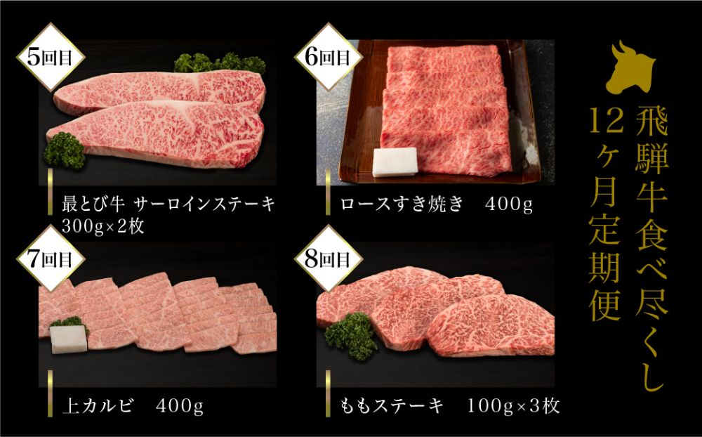 A5ランク 飛騨牛 定期便 12回 食べ尽くし ( 焼肉 すき焼き しゃぶしゃぶ ステーキ ヒレステーキ ) 12ヶ月 肉 飛騨牛 定期便 約4.96kg 牛肉 食べ比べ 人気 お楽しみ おすすめ 岐阜県 高山市 飛騨高山 ながせ食品 TR3847