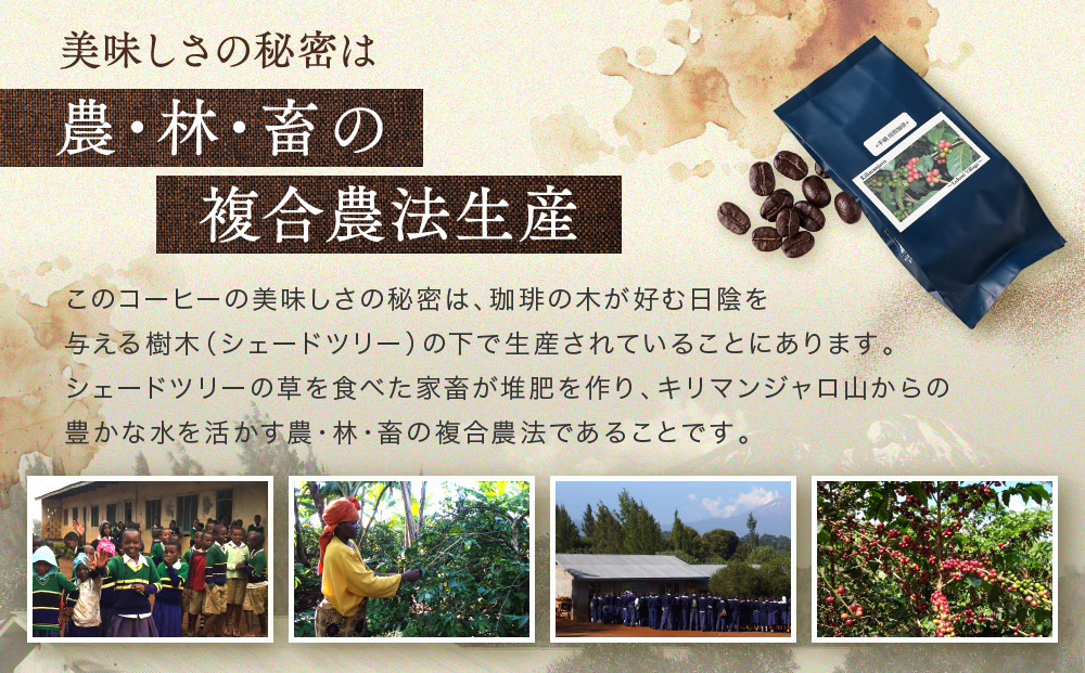 【手網焙煎】久々野ふるさとの香り キリマンジャロ ルカニ村 100ｇ | 焙煎 珈琲 コーヒー ルカニ村 キリマンジャロ あそびば.coffee 栄徳屋　LC012