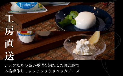 飛騨生乳100％ モッツァレラ1個 & リコッタ3個セット | セット チーズ 冷蔵 濃厚 低温殺菌 乳製品 おいしい 人気 チーズ工房トリデンテ LF012