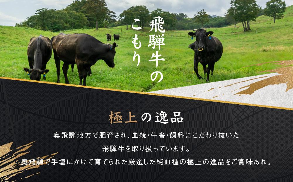 満喫飛騨牛3ヶ月定期便（全3回）牛肉 しゃぶしゃぶ ステーキ 切り落とし 飛騨牛のこもり FC101