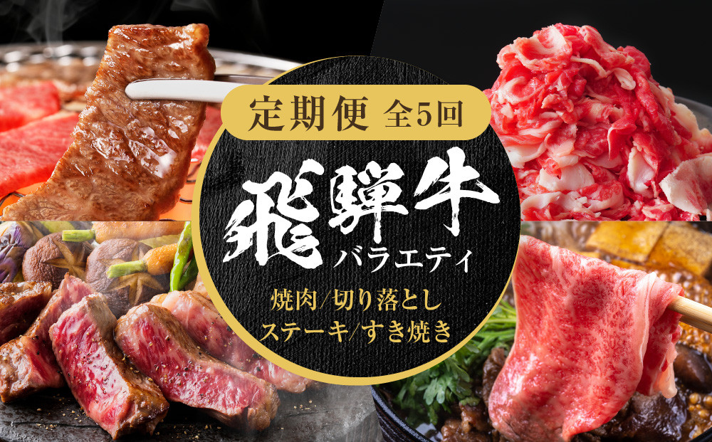 【定期便】全5回 飛騨牛 バラエティ（ステーキ /焼肉 / すき焼き/切り落とし） | 肉 お肉 黒毛和牛 和牛 個包装 小分け 牛肉 お取り寄せ 飛騨高山ミート MZ104