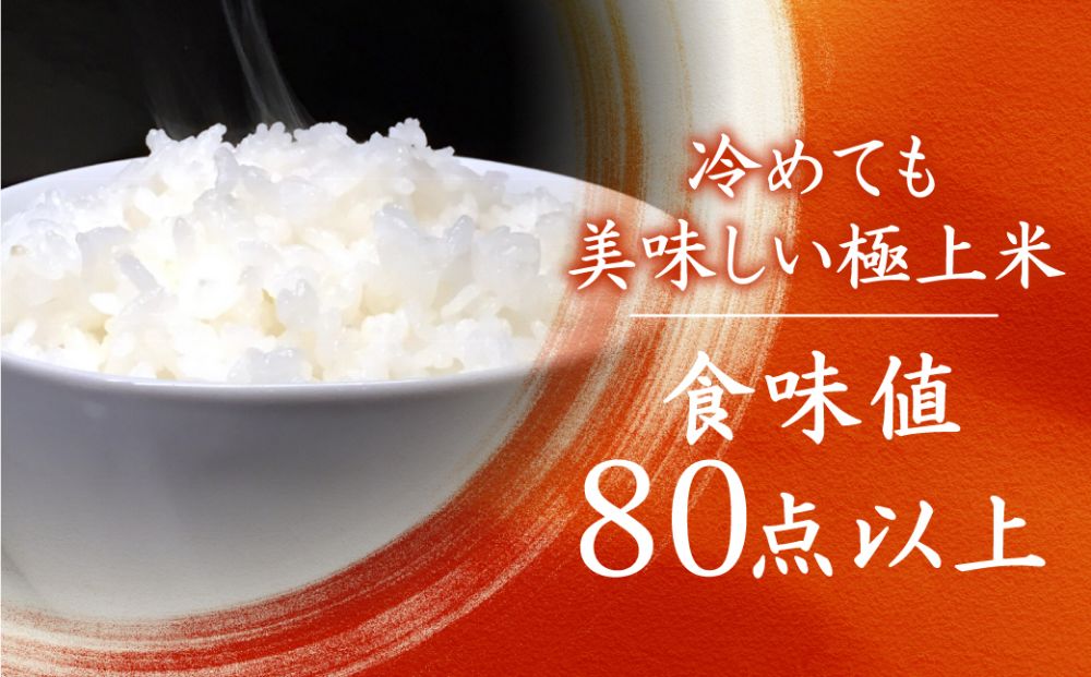 【令和6年度産 新米】もちもち食感の飛騨産ミルキークイーン「乙女ごころ」5kg | 米 お米 白米 ご飯 ごはん 飛騨高山 和仁農園 MF008