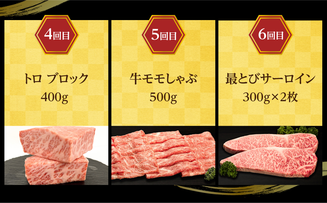 【定期便6ヶ月】 A5ランク肉 飛騨牛 定期便 約2.6kg(360g以上×6ヶ月) 牛肉 ( 焼肉 すき焼き しゃぶしゃぶ ステーキ 肩ロース ヒレ サーロイン もも バラ ) | 食べ比べ A5 人気 お楽しみ おすすめ 岐阜県 高山市 飛騨高山 ながせ食品 TR4505