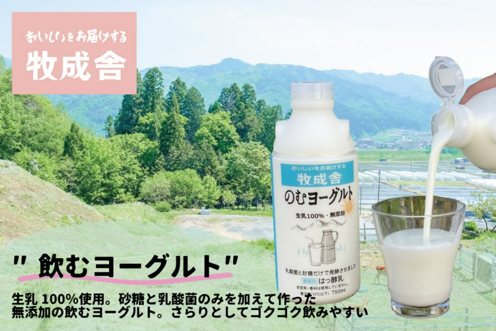 飛騨の牛乳屋こだわり 牛乳 3本 飲むヨーグルト 2本 セット 低温殺菌 無添加 牧成舎 飛騨高山  TR3333