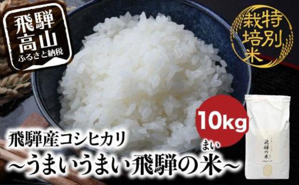 【令和6年産 新米】 飛騨産コシヒカリ白米 「うまいうまい飛騨の米」 白米 10kg | こしひかり 飛騨産 精米 お米 特別栽培米 飛騨高山 ファームジネンいいむら GG016