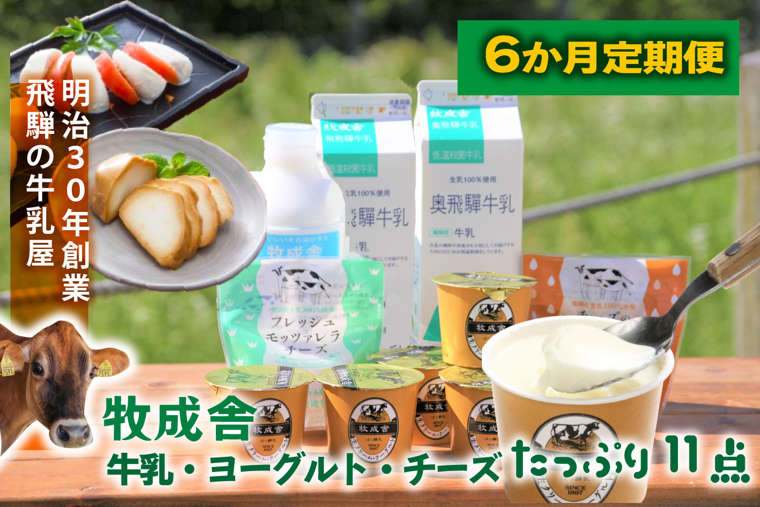 6か月定期便【飛騨乳製品バラエティセット】牛乳・ヨーグルト・チーズ詰め合わせ　11点セット｜乳製品 習慣 詰合せ 家族 朝食  牧成舎 牧成舎 DF245