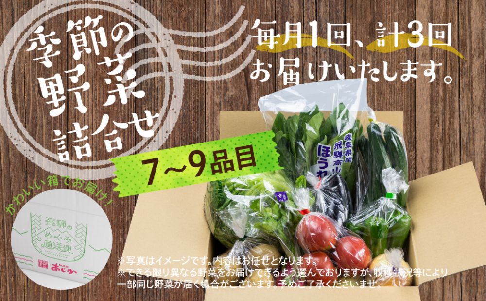 先行予約 《定期便》3ヶ月 飛騨の野菜 7〜9点 野菜セット 3回 お届け 飛騨高山産 野菜  秋野菜 おまかせ お取り寄せ  産地直送 飛騨産 夏 秋  サラダ    GN101