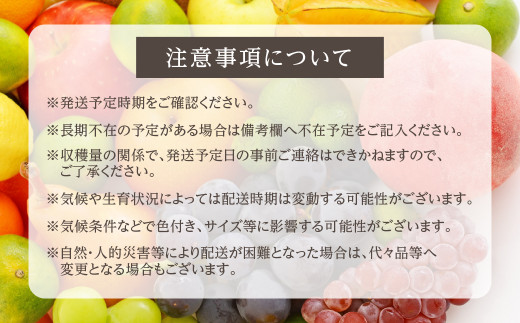 【先行予約】山本果樹園 季節の大粒種無しぶどう 詰め合わせ 約1.2kg（2房〜3房）| 9月中旬〜順次発送 果物 フルーツ おいしい ぶどう 種なし 飛騨高山 山本果樹園 MA001