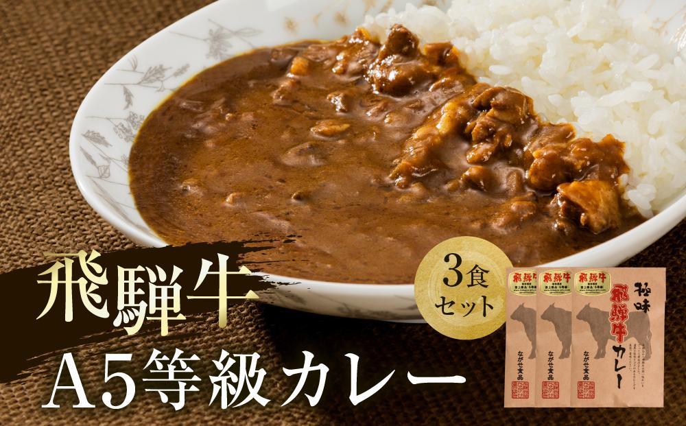 【12月発送】A5等級飛騨牛 カレー 3食セット | 肉 レトルト 人気 飛騨高山 ながせ食品 FH006VC12