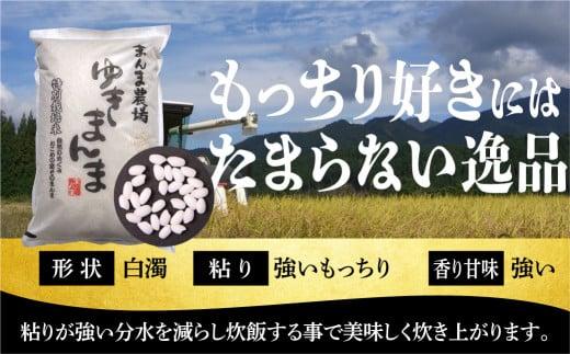 ゆきまんま白米10kg | 米 ゆきまんま 白米 特別栽培米 ブランド米 特別優秀賞獲得 地域限定 飛騨高山 まんま農場 b625