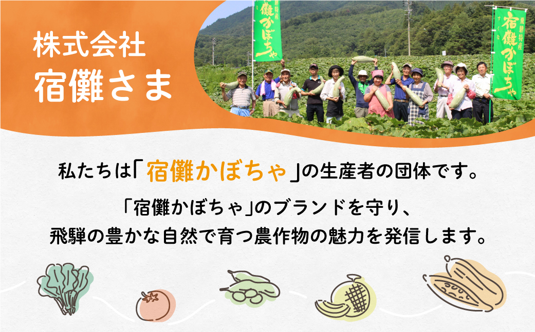 【数量限定】宿儺かぼちゃ焼酎2本入り 南瓜焼酎 地酒 酒 珍しい 数量限定 KA007