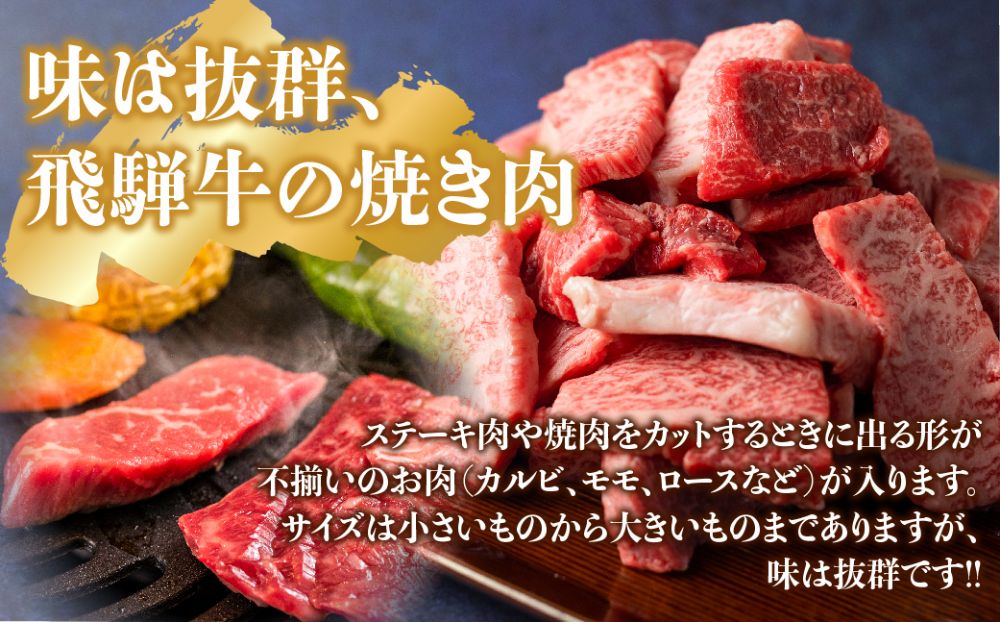 飛騨牛 焼肉 切落し 600ｇ ≪冷凍≫ 日付指定不可 焼肉用 切り落とし