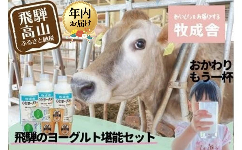 【寄附額見直しました！】【12月配送】『牧成舎』 飛騨のヨーグルト堪能セット （ヨーグルト2種 / 飲むヨーグルト1種）| 年内発送 ヨーグルト 食べ比べ 飲むヨーグルト 乳製品 セット 飛騨高山 牧成舎 DF011VC12