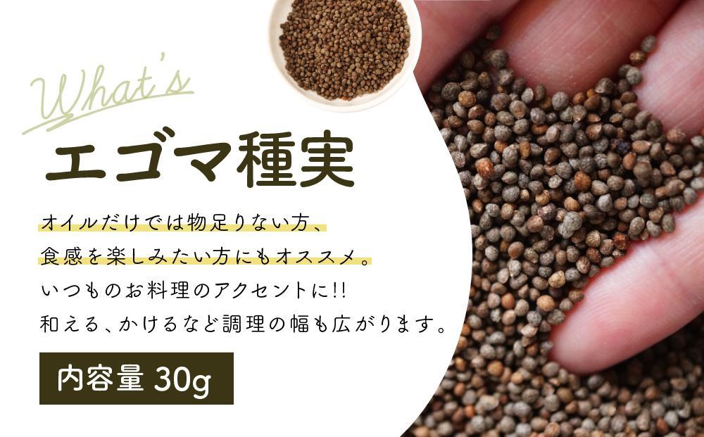 【12月配送】Bio egomaoil（えごまオイル）1本・シード 年内発送 株式会社ひとさじ MQ003VC12