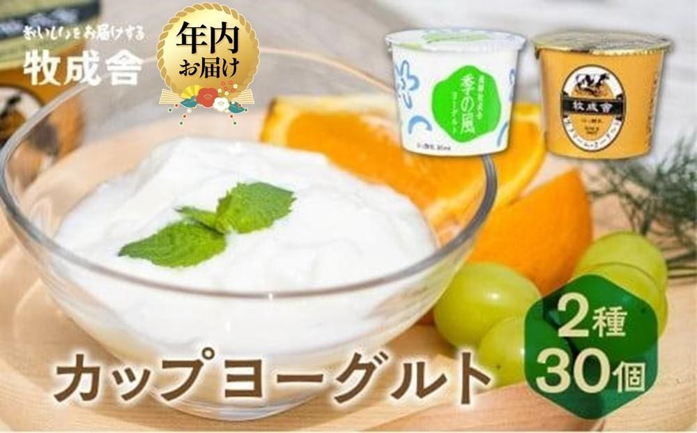 【寄附額見直しました！】【12月配送】＜牧成舎＞ 飛騨の牛乳屋のこだわりヨーグルト (30個セット)  |  年内発送 おいしい ヨーグルト 食品 健康 濃厚 朝食 牧場 発送時期が選べる 飛騨高山 DF012VC12