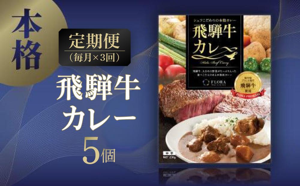 【定期便3ヶ月】本格飛騨牛レトルトカレー 230g×5個 | 飛騨牛 レトルトカレー 贅沢 カレー 本格 中辛 ビーフカレー 便利 簡単調理 高山市 株式会社フローラ EY100