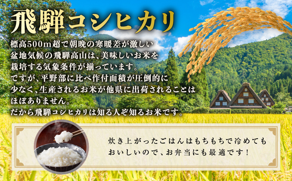 【先行受付】令和8年産新米 飛騨コシヒカリ10kg | 新米 米 ごはん おいしい もっちり 飛騨高山 船場農園 つむぎ果樹園 GH016