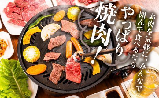 5等級 飛騨牛 焼肉 (もも、バラ) 盛り合わせ 400g | 食べ比べ 詰め合わせ BBQ バーベキュー キャンプ お取り寄せ 牛肉 和牛 黒毛和牛 グルメ 焼肉セット 飛騨高山 ながせ食品 FH012VC13