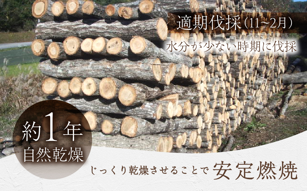 荵セ辯・繝翫Λ阮ェ 1譛ャ縺ゅ◆繧顔エ30cm 邏25kg | 繝翫Λ 讌「 轣ォ謖√■ 辯辟シ 閠蝉ケ蜉 荵セ辯・ 髟キ謖√■ 繧ケ繝医シ繝 證也i 阮ェ繧ケ繝医シ繝 螟ァ蜑イ 繧ュ繝」繝ウ繝 辟夂↓ 繧「繧ヲ繝医ラ繧「 鬟幃ィィ鬮伜アア 荳牙ア蟾・謌ソ TC001