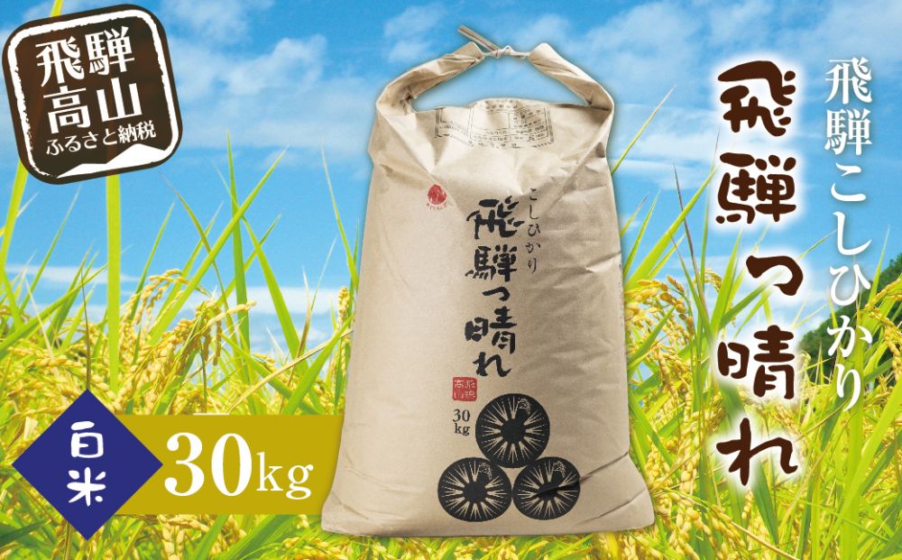 【数量限定】こしひかり飛騨っ晴れ 白米 30kg 生産者直送 お米 コシヒカリ 飛騨産 飛騨高山 アグリランド JF006