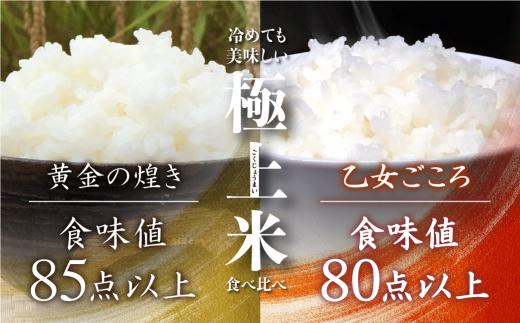 世界最高米原料飛騨産コシヒカリともちもち食感の飛騨産ミルキー