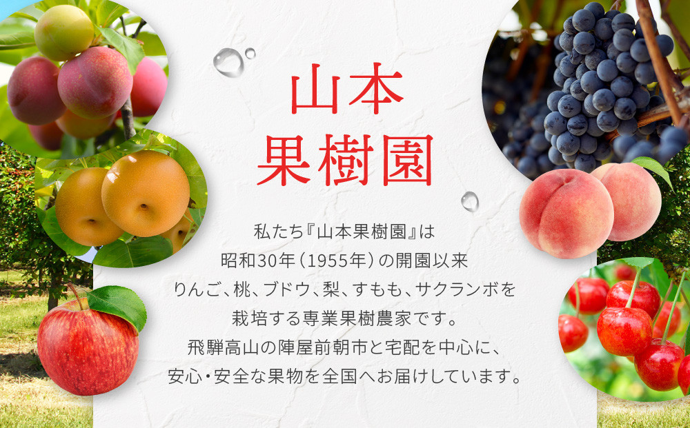 ももジュース 180ml×12本  |桃 もも フルーツジュース 果汁100％  飛騨高山　山本果樹園 MA017