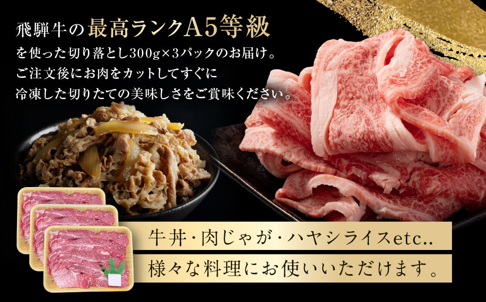 【6月発送】飛騨牛 A5等級 切り落とし 900g（300g×3パック） | 小間切れ A5ランク A5 5等級 肉 黒毛和牛 ブランド牛 発送時期が選べる 飛騨高山 ながせ食品 FH026VC06