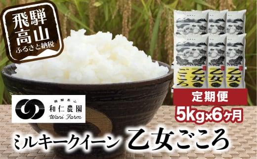 【定期便 6カ月】（全6回）令和6年度産 新米 ミルキークイーン「乙女ごころ」5kg | 米 白米 飛騨 お米 飛騨高山 和仁農園 MF100