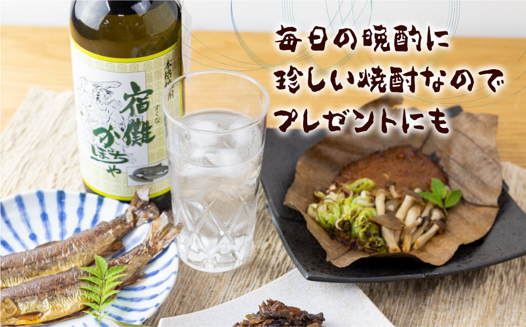 【数量限定】宿儺かぼちゃ焼酎2本入り 南瓜焼酎 地酒 酒 珍しい 数量限定 KA007