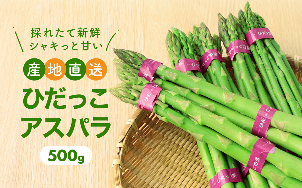 【2026年発送・先行受付】ひだっこアスパラ 500g | アスパラ アスパラガス 飛騨産 野菜 春  夏野菜  産地直送 新鮮 食品 おいしい 人気 飛騨高山 ひだっこの里 CM007