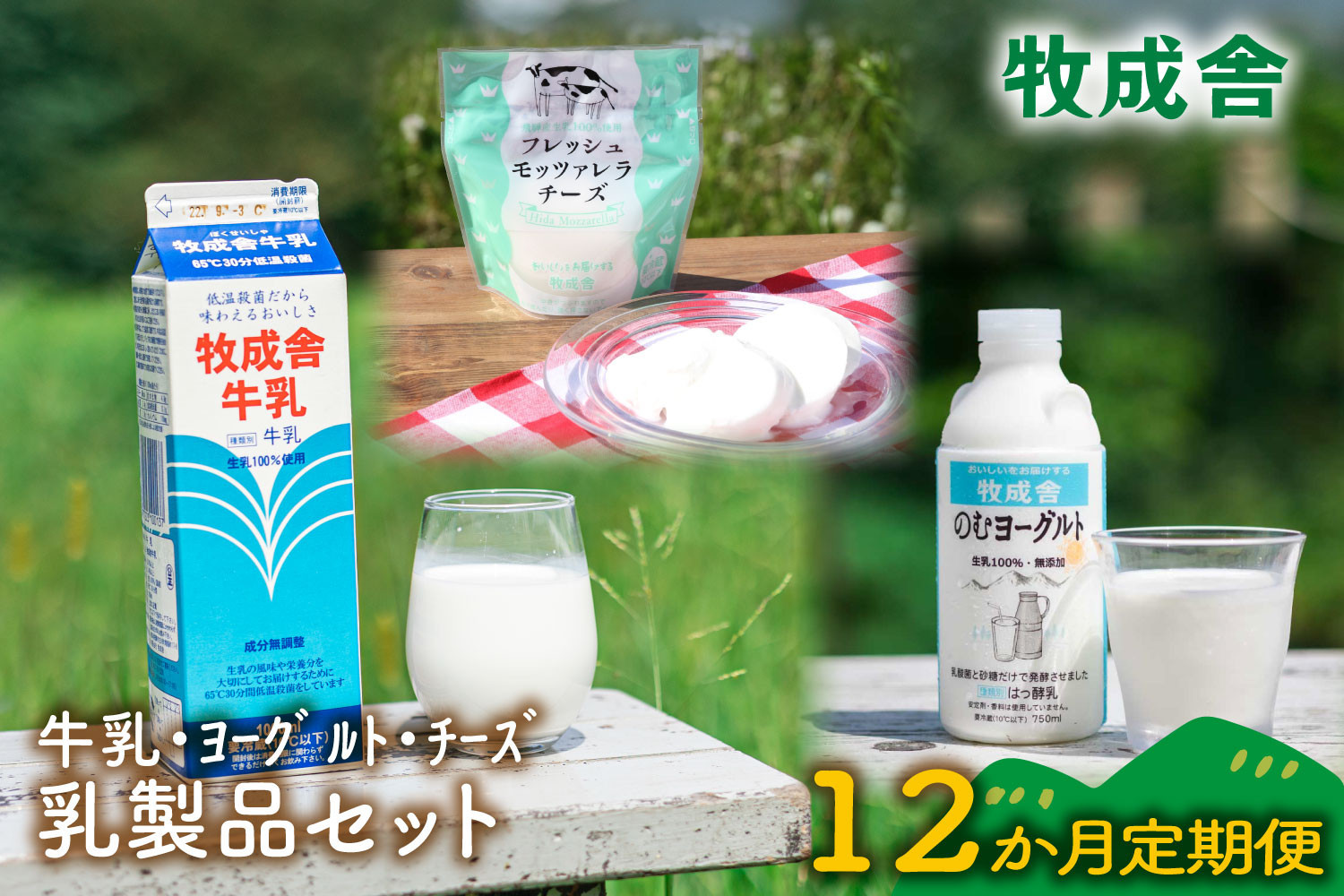 【定期12か月便】牧成舎の牛乳・のむヨーグルト・モッツァレラセット（全3品）DF255