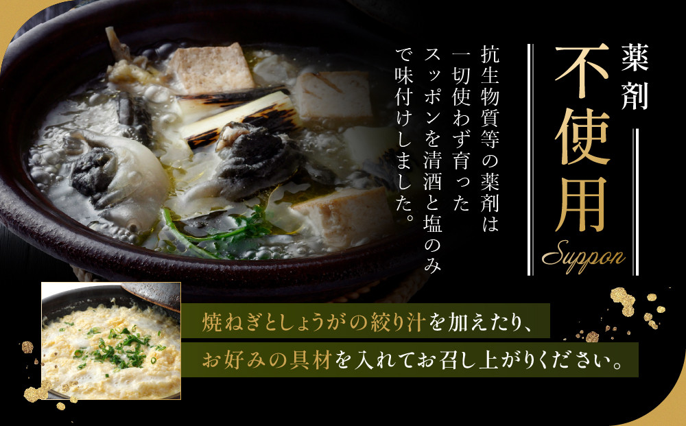 湯けむり美人すっぽんスープ　2人前｜和風惣菜 食品 人気 美容 健康 コラーゲン 栄養 伝統 日本料理 煮込み 温まる 冬季 スープ料理 だし 焼岳すっぽん HE004