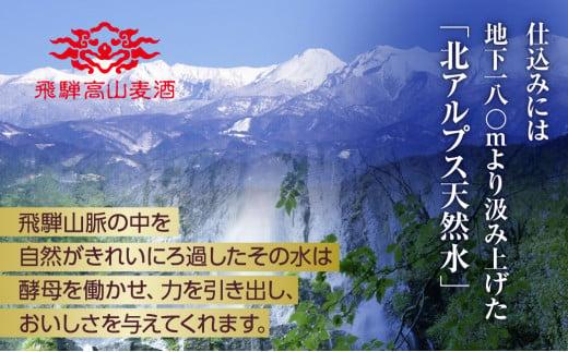 飛騨高山麦酒 カルミナ 12本セット 500ml×12本 地ビール ビール 麦酒 クラフトビール 飛騨高山 瓶ビール ビンビール  FS003