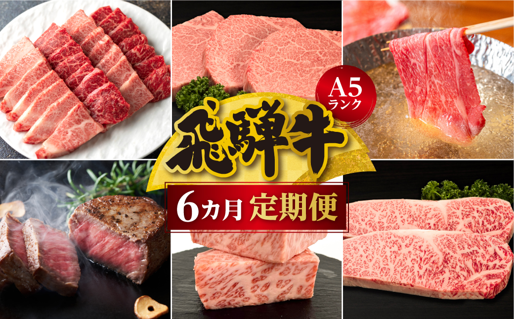 【定期便6ヶ月】 A5ランク肉 飛騨牛 定期便 約2.6kg(360g以上×6ヶ月) 牛肉 ( 焼肉 すき焼き しゃぶしゃぶ ステーキ 肩ロース ヒレ サーロイン もも バラ ) | 食べ比べ A5  人気 お楽しみ おすすめ 岐阜県 高山市 飛騨高山 ながせ食品 FH101