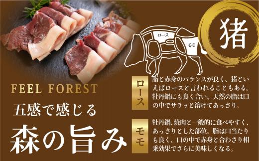 飛騨ジビエ 熊肉 猪肉 しゃぶしゃぶ食べ比べ 2種 各150g  | ジビエ しゃぶしゃぶ 鍋 熊肉 猪肉 高たんぱく ヘルシー 自然派 猟師 飛騨狩人工房 うり坊屋 飛騨高山 株式会社かりびと HN002