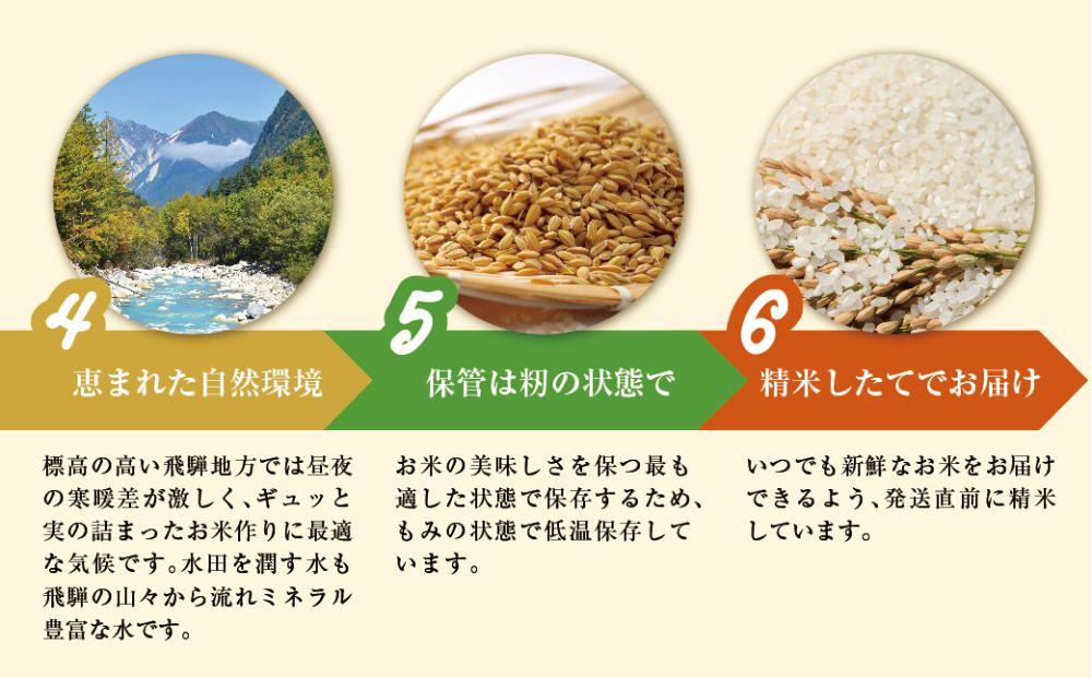 【定期便】こしひかり飛騨っ晴れ 白米 5kg 6回 お届け 生産者直送 お米 コシヒカリ 飛騨産 飛騨高山 アグリランド TR3811