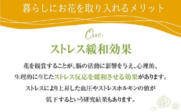 お花の定期便 (毎月4回) 12ヶ月  (計48回)  デザインアレンジメント・カゴ付き アレンジメント  花 定期便 季節の花 インテリア 生花 FJ110