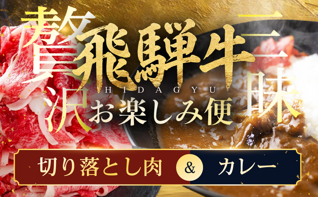 【飛騨牛お楽しみ便】飛騨牛 カレー (5袋) 切り落とし肉 お届け便 | 常温 冷凍 配送 訳あり 訳アリ 飛騨牛 肉 牛 ビーフカレー すき焼き すきやき 簡易包装 レトルト ご当地カレー 人気 おすすめ 便利 小分け 飛騨高山 高山ミート ふるさと清見 ZZ024
